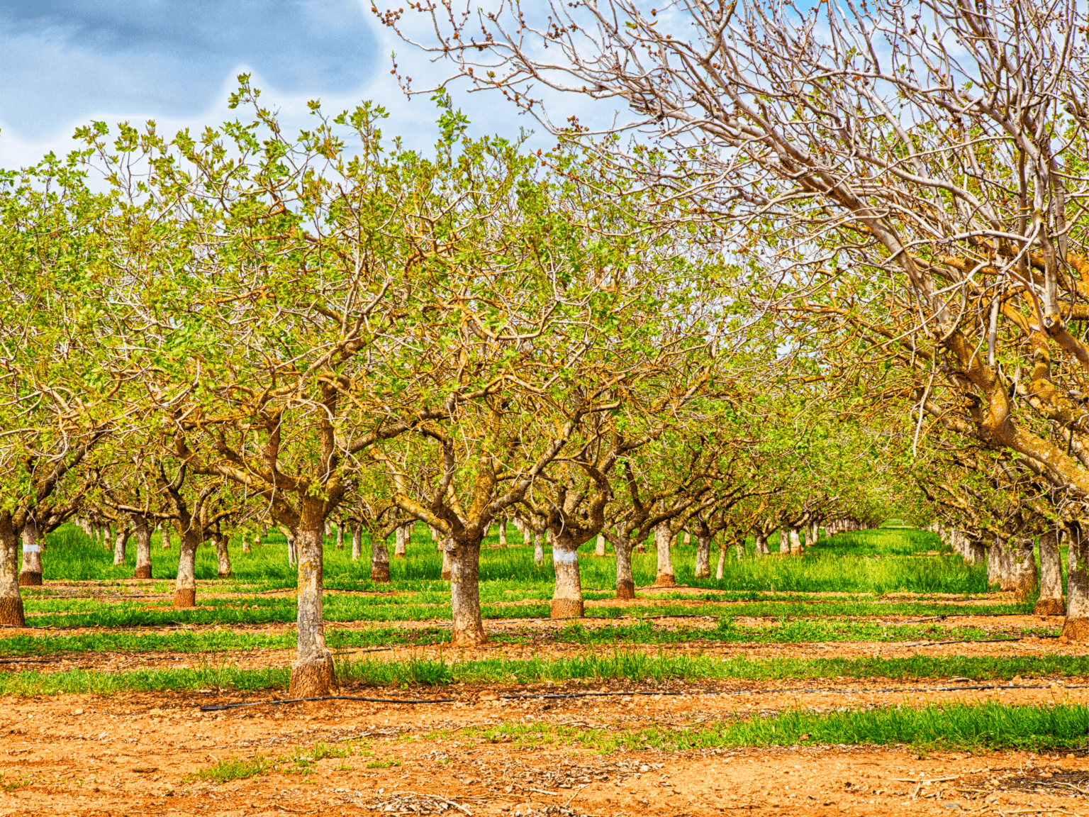 Top 10 Best & Worst Foods for the Environment