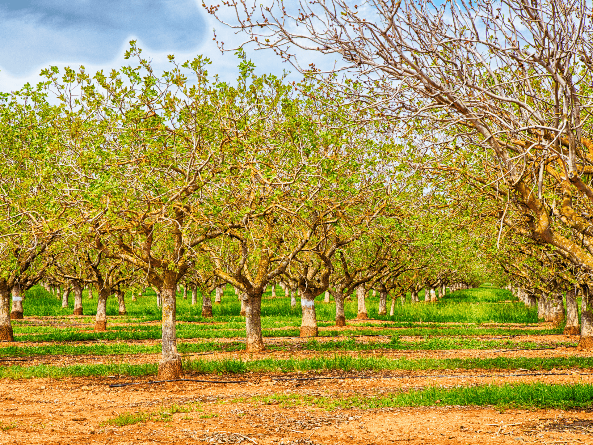 Top 10 Best & Worst Foods for the Environment